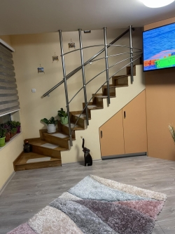 Мезонет гр. Варна