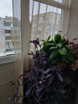 Three bedroom Varna