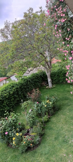Houses Balchik