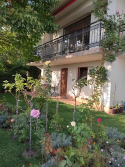 Houses Balchik